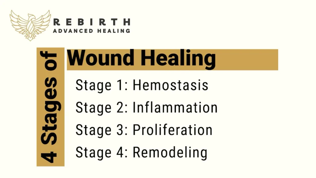 graphic showing the stages of wound healing