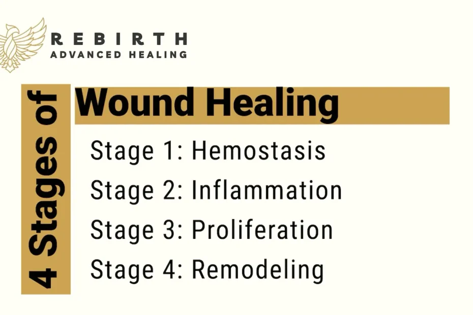 graphic showing the stages of wound healing