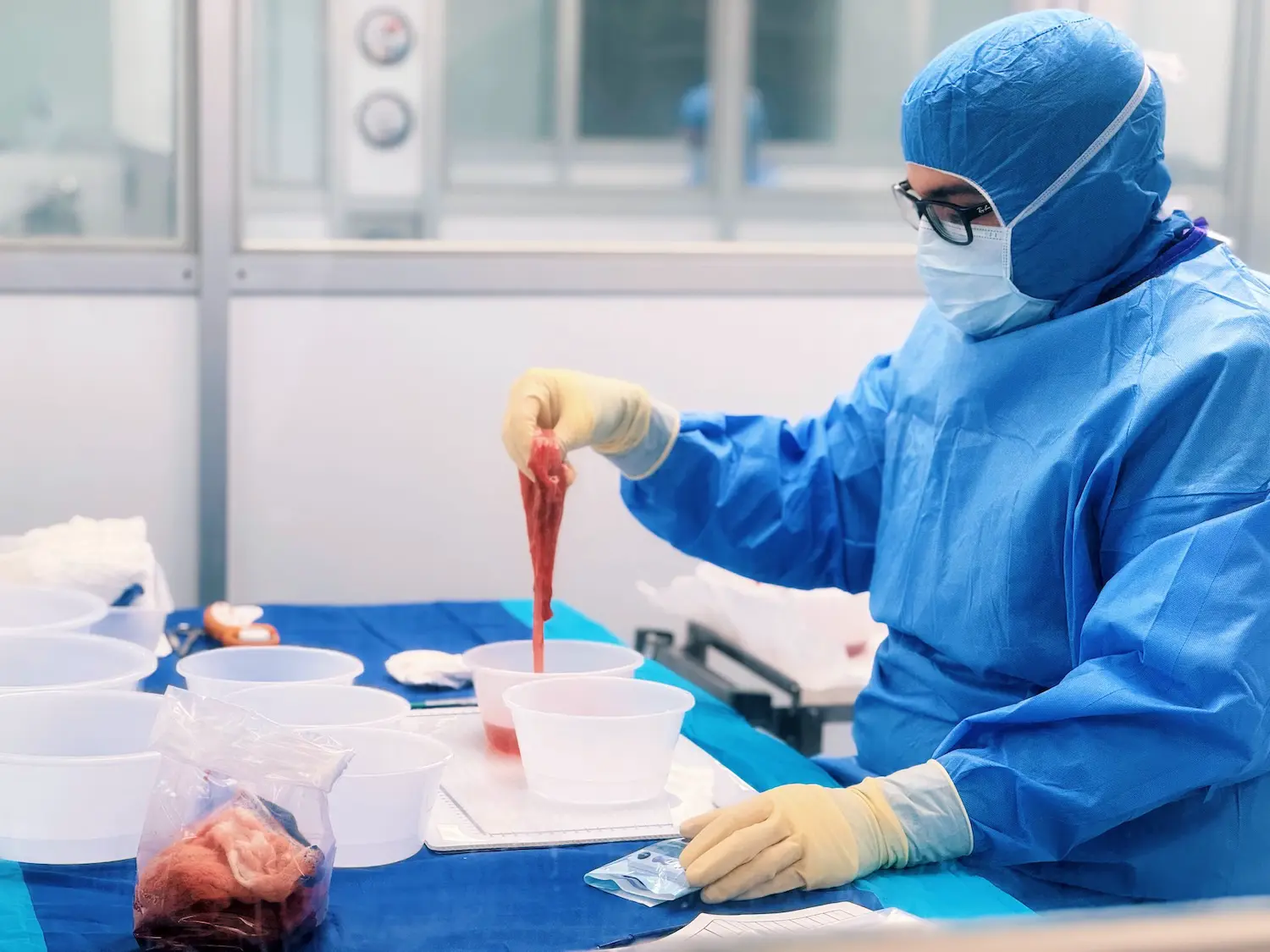 A lab technician sanitizes a placenta that's to being used for advanced wound care.